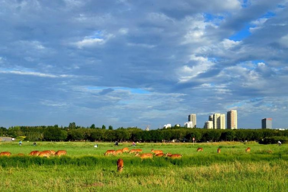 Saihan Tal Park